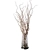 Natural Curly Willow Branches 3D model small image 2