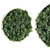 Green Oasis Plants Set 65 3D model small image 1
