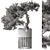 Bonsai Beauty: Indoor Plant 564 3D model small image 5