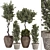 Bohemian Olive Bonsai Bush Pottery 3D model small image 1