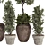 Bohemian Olive Bonsai Bush Pottery 3D model small image 3