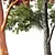 Majestic Angel Oak 3D Models 3D model small image 5