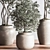 Modern Urban Indoor Plant Set 3D model small image 3