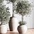 Modern Urban Indoor Plant Set 3D model small image 4