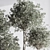 Modern Urban Indoor Plant Set 3D model small image 5