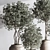 Modern Urban Indoor Plant Set 3D model small image 6