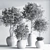 Modern Urban Indoor Plant Set 3D model small image 7