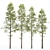 High-Quality Pine Trees Collection 3D model small image 1