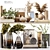 Luxury Decor Set Bundle 3D model small image 1