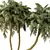 Exotic Palm Tree 3D Model 3D model small image 3