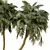 Exotic Palm Tree 3D Model 3D model small image 4