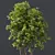 Diverse 3D Tree Models Package 3D model small image 2