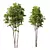 Diverse 3D Tree Models Package 3D model small image 3