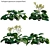 Variegated 3D Plant Models Pack 3D model small image 2