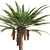 Exotic Palmtree 3D Model Fresh 3D model small image 2