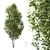 Forest Tree 3D Models Bundle 3D model small image 3