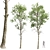 Forest Tree 3D Models Bundle 3D model small image 4