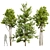 3D Acer Ash Maple Tree 3D model small image 1