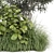 Corona Outdoor Bush Plants Set 3D model small image 2