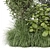 Corona Outdoor Bush Plants Set 3D model small image 3