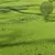 Grassland Summer 3D Models Set 3D model small image 1