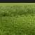Grassland Summer 3D Models Set 3D model small image 2