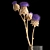 Modern Glass Vase Thistle Bouquet 3D model small image 2