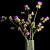 Green Thistle Bouquet in Modern Glass Vase 3D model small image 3