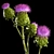 Green Thistle Bouquet in Modern Vase 3D model small image 6