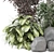 Outdoor Bush Plants Set 989 3D model small image 2