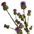 Thistle Thicket Greenery Bouquet 3D model small image 4