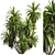 Premium Mountain Cabbage Tree Model 3D model small image 3