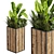 Banana Box Office Plant 3D model small image 2