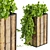 Banana Box Office Plant 3D model small image 4