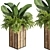 Banana Box Office Plant 3D model small image 5
