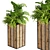 Banana Box Office Plant 3D model small image 6
