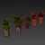Banana Box Office Plant 3D model small image 7