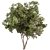 Oleander Tree Set 229 3D model small image 1