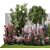 Elegant Landscaping Kit with Oleander and Olive 3D model small image 2