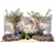 Lavender & Olive Collection 3D model small image 6