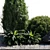 21-Piece Outdoor Plant Set 3D model small image 5