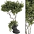 Max 2015 + Material Library + OBJ 3D model small image 4