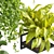 Premium Hanging Plant Collection Vol. 516 3D model small image 3