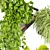 Premium Hanging Plant Collection Vol. 516 3D model small image 4