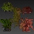 Premium Hanging Plant Collection Vol. 516 3D model small image 7