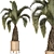  Palm Tree Set 17 Miniature 3D model small image 1