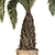  Palm Tree Set 17 Miniature 3D model small image 3