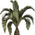  Palm Tree Set 17 Miniature 3D model small image 4