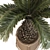  Palm Tree Set 17 Miniature 3D model small image 5