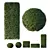 Premium 3D Dwarf Yaupon Holly 3D model small image 1